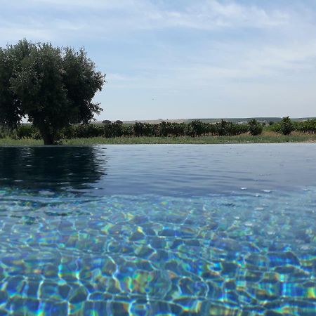 Terras - Agroturismo & Vinhos Beja Eksteriør bilde