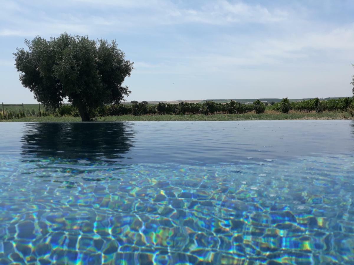 Terras - Agroturismo & Vinhos Beja Eksteriør bilde
