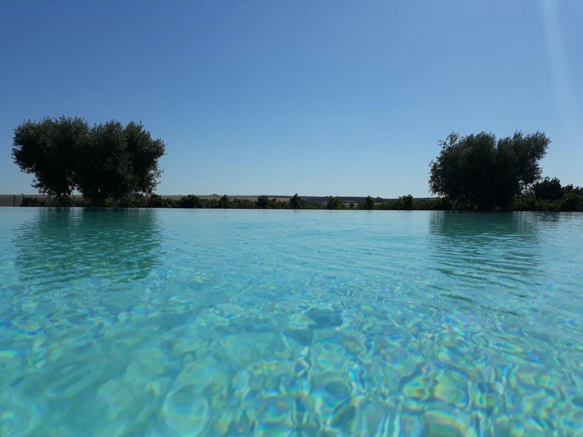 Terras - Agroturismo & Vinhos Beja Eksteriør bilde