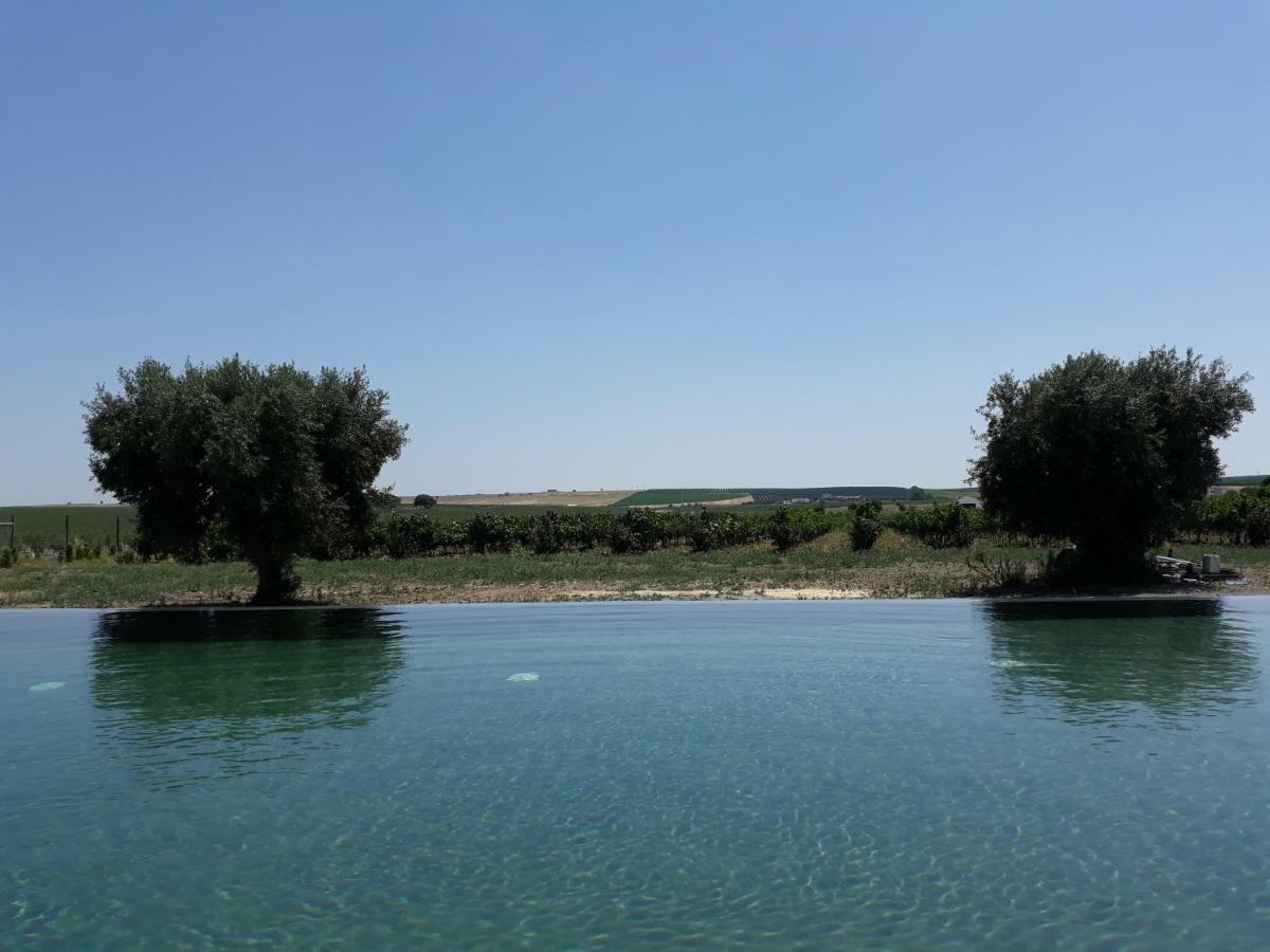 Terras - Agroturismo & Vinhos Beja Eksteriør bilde